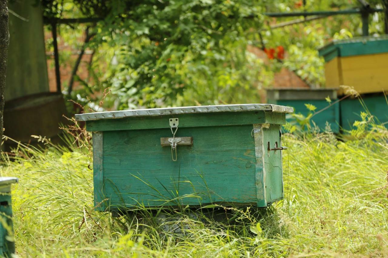 Apartamento Beehives Kutaisi Exterior foto